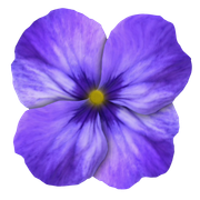 GlamourGirl_MM_Element (129)