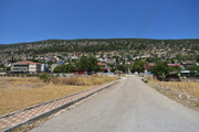 Arachnaio-(3)