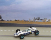 P1050047_zpscynlejno