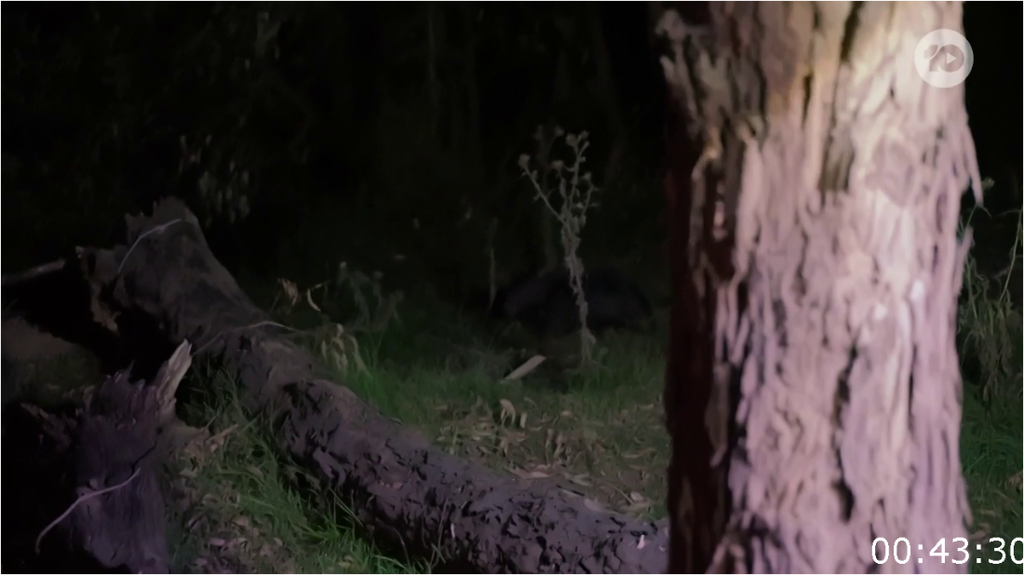 [Image: dby6f8p5azx3.png]