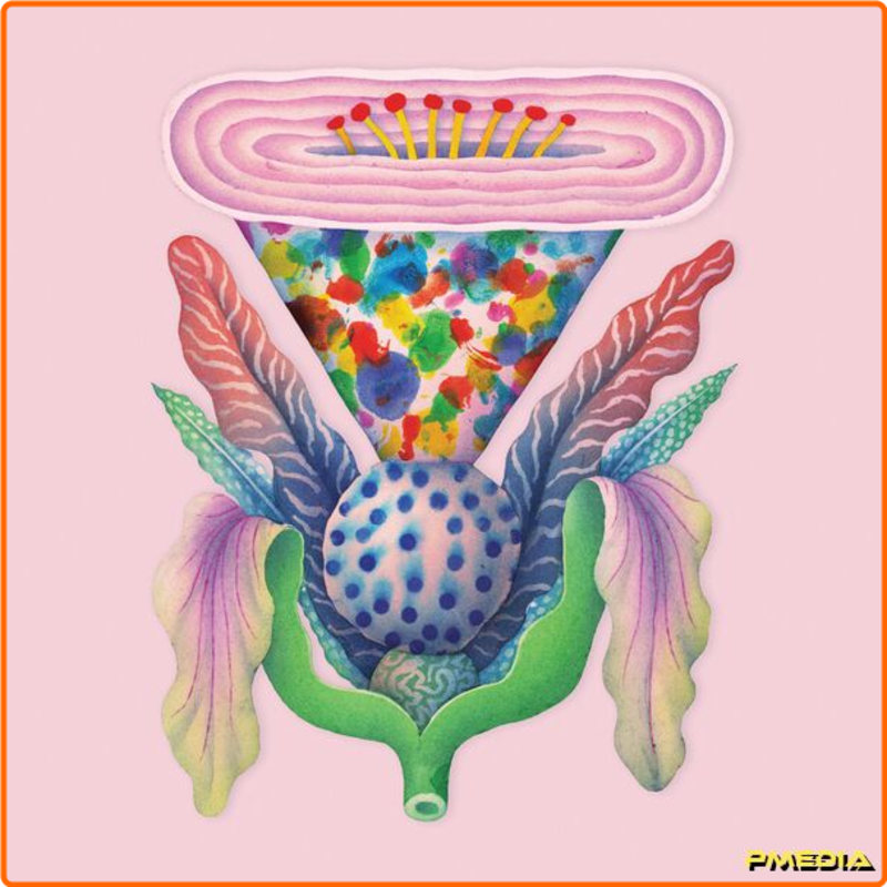 [Image: p5npq3fw0b8l.png]