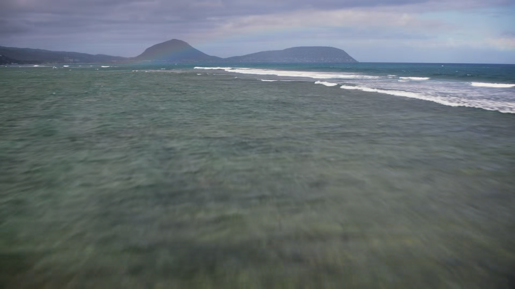 [Image: rbk2sjjm3t17.png]