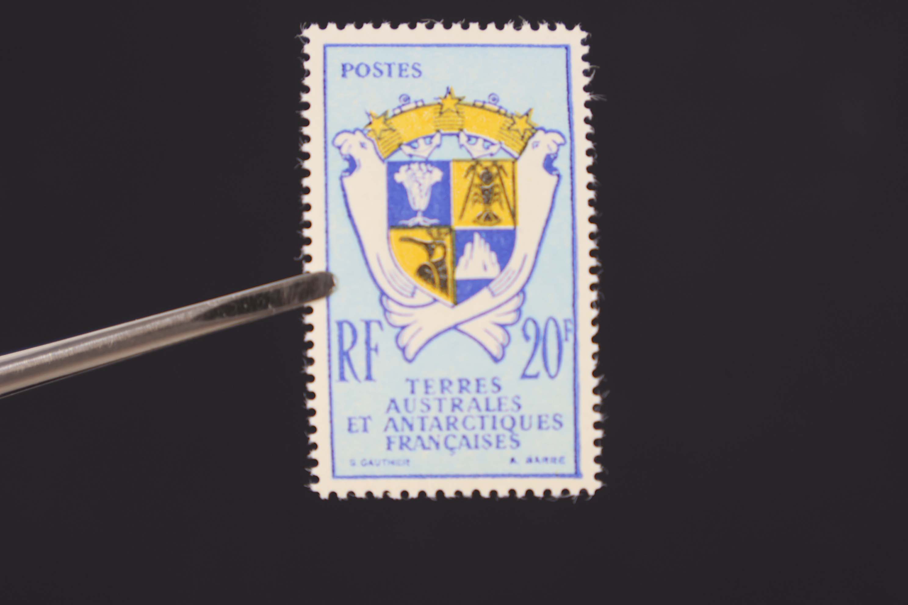 IMG-6104