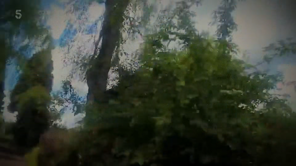 [Image: rd999uug1vdn.png]