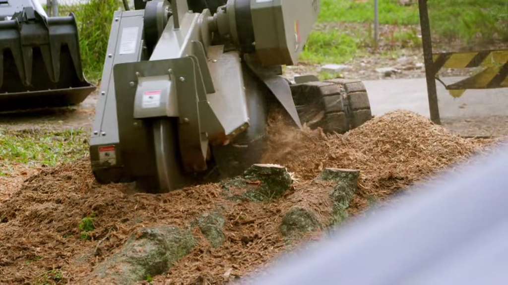 [Image: 37ozcwx0k3jq.png]