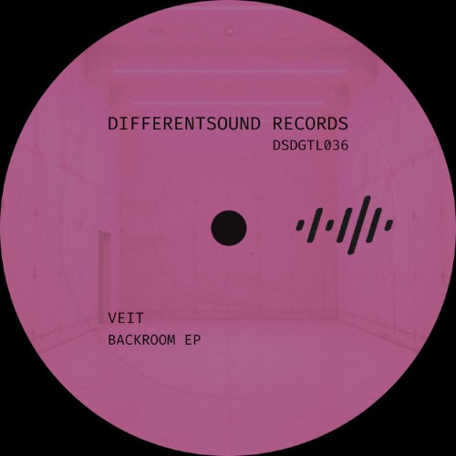 00-veit-backroom-dsdgtl036-16bit-web-fla