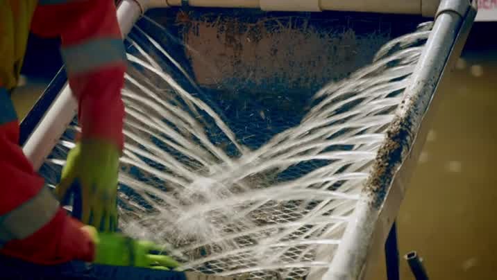 [Image: uh5fwv1f51ph.jpg]