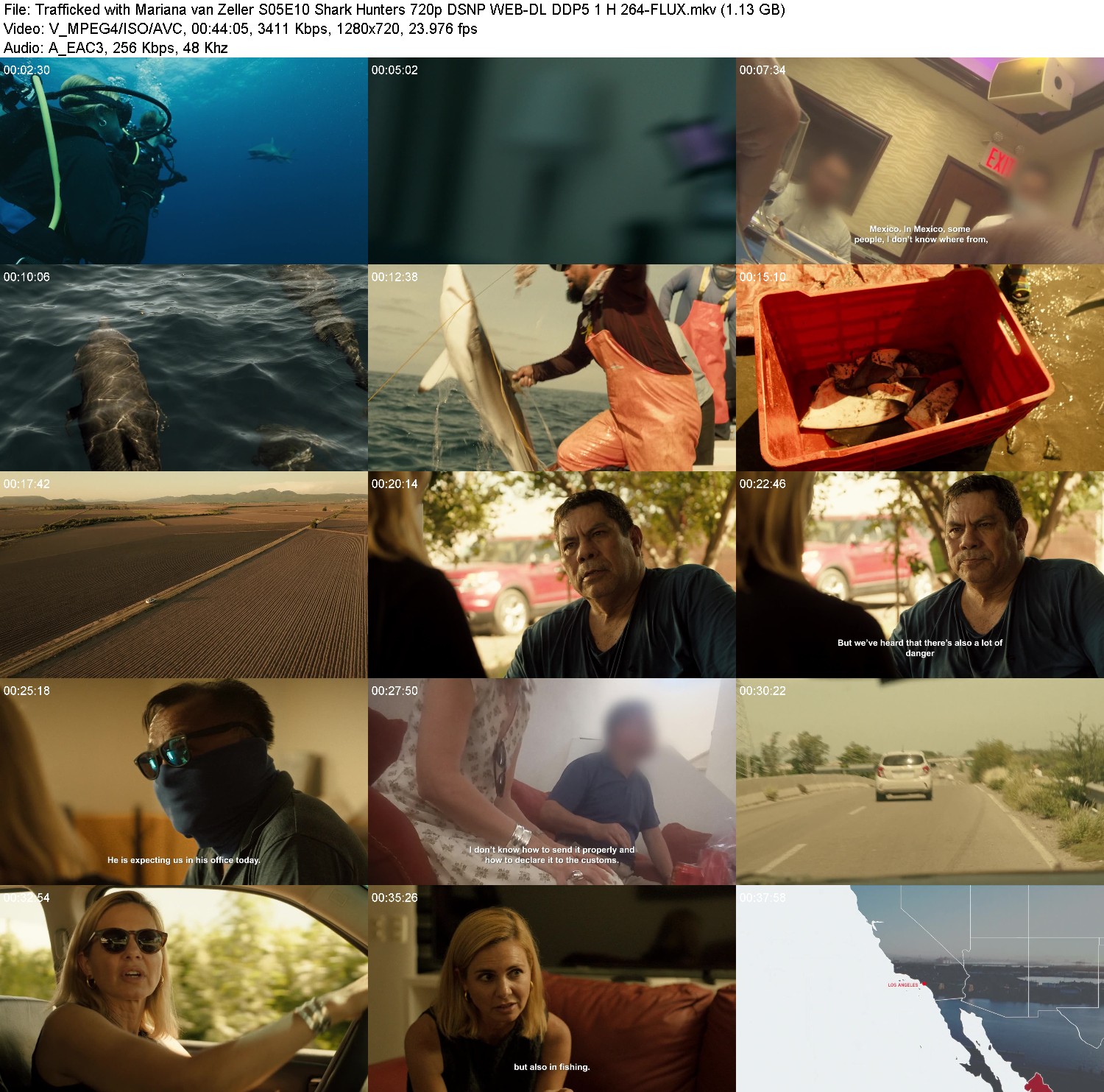 [Image: 61c2mraz1ejd.jpg]