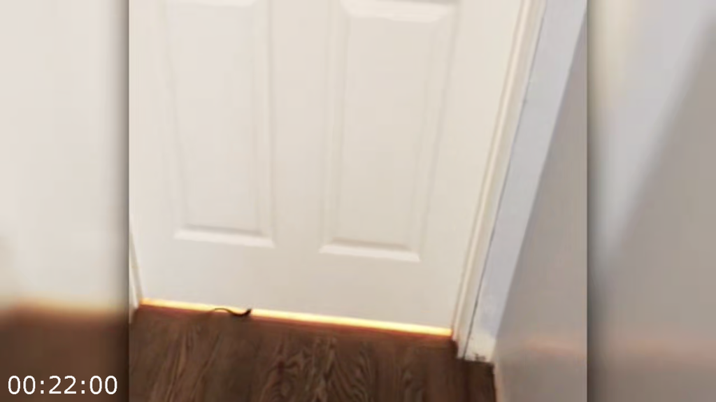 [Image: 5zuvn2vz3qn1.png]