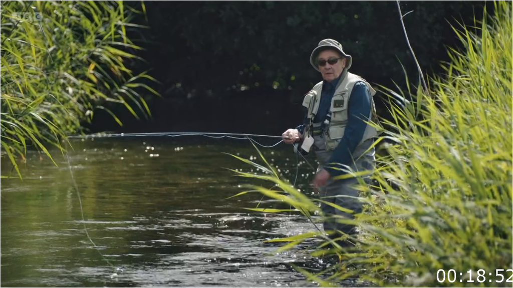 [Image: 2yfz3icec65j.png]