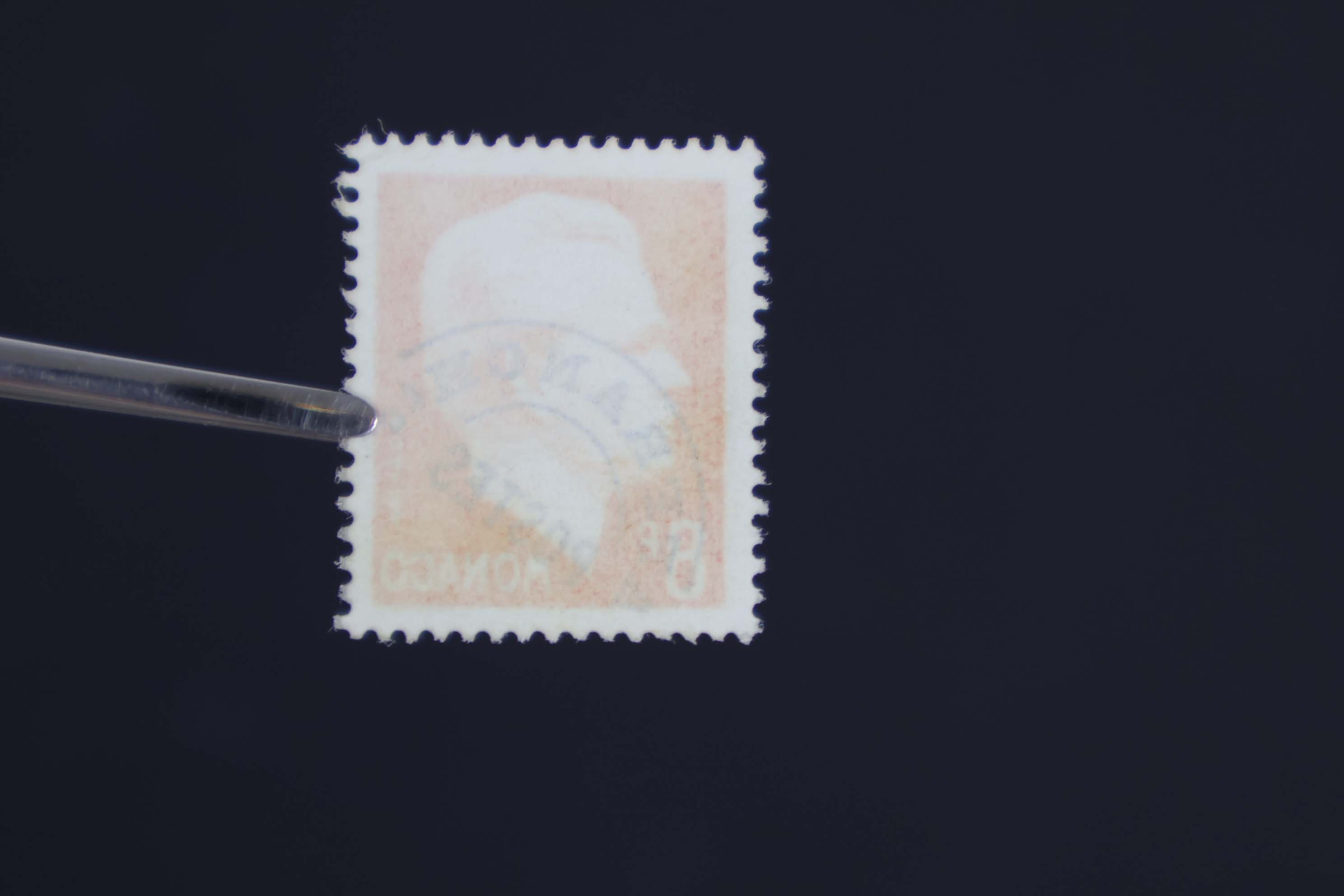 IMG-2663
