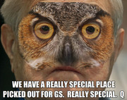 Soros special place owl