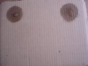 DSC04571-1.jpg