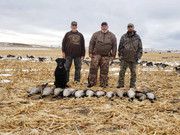 [Image: Goose-Hunt-WY-14-Dec-2021.jpg]