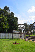 DSC-0455