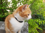 IMG-20190524-091706191