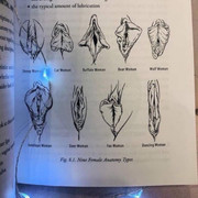 G5Fgq J7b IAEm Mh format jpg name medium