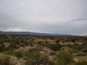 IMG-20250815-062804474