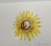 Bipolar Check-in #98