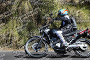 IMG-1393