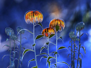 horo-0-Flower-Terrain