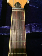 376361475_837355441167901_2518484538611220895_n