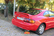 IMG-3254