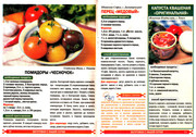 2012-12-7