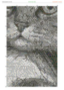 2882119-crosti-ru-color-11