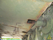 IMG-5513