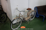 IMG-5238