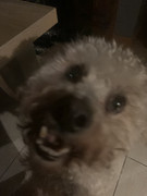 B7DF0434-6F2A-4759-9E2E-D886A6106BBC