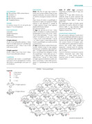 Uncinetto-Indossato-11-Giugno-Luglio-2025-15
