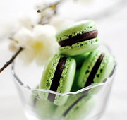 macaron-menta-e-cioccolato1