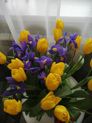 https://i.postimg.cc/R6bWQsx6/attachment-(24).jpg