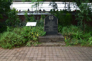 DSC-0025