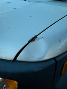 Dent-Rust-Front-Driver