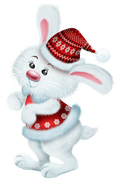 Daelmans-Designs-Deck-The-Halls-TS-PU-Element-012