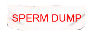 ofuda12