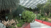 Flower Dome 06