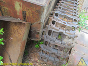 IMG-6152