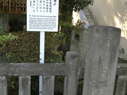 Hier soll Kiras Kopf gewaschen worden sein