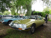 DSC06430.jpg