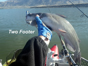 [Image: TWO-FOOTER.jpg]