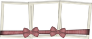 TWFlowerbee-Frame2