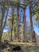 IMG_5680_série_2_22