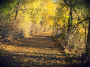 Presque Isle Erie Pa5