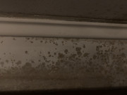 D29F120E-AD56-4A19-92FB-0A8FAFD70531