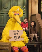 456d5a93def9b9fc3fd12d62f76c5692cc3adb1f9725ff725363d0d54951fdac