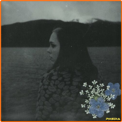 [Image: wv33dmv2e4kt.png]